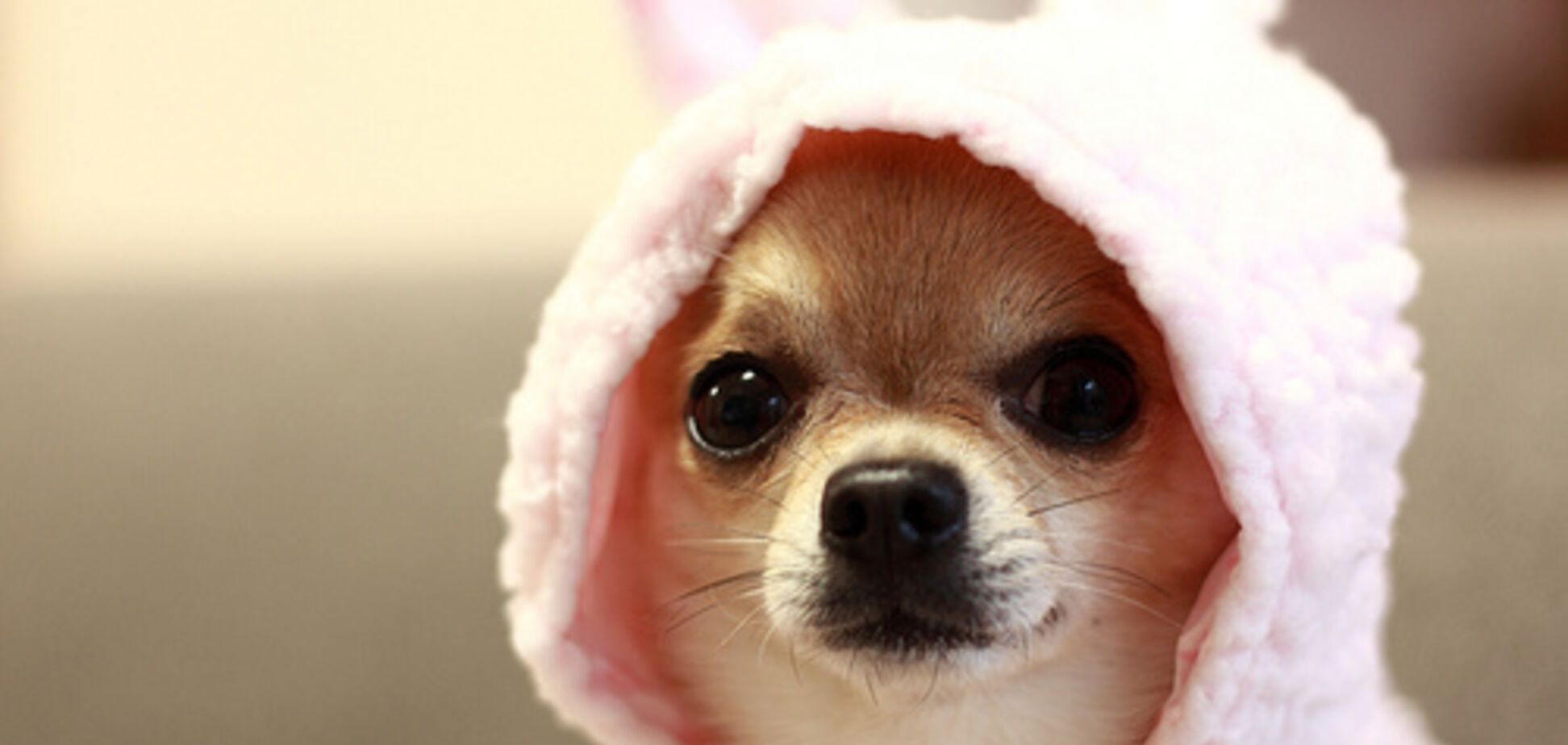 'Укутайте шею': синоптик рассказала, какую погоду ждать в Киеве