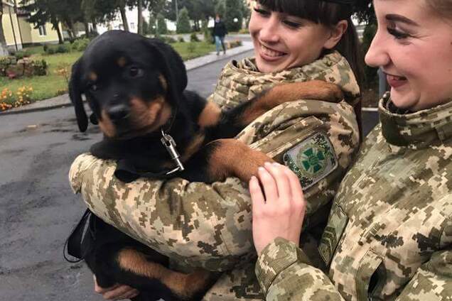 Собака Ляшка захищатиме кордон