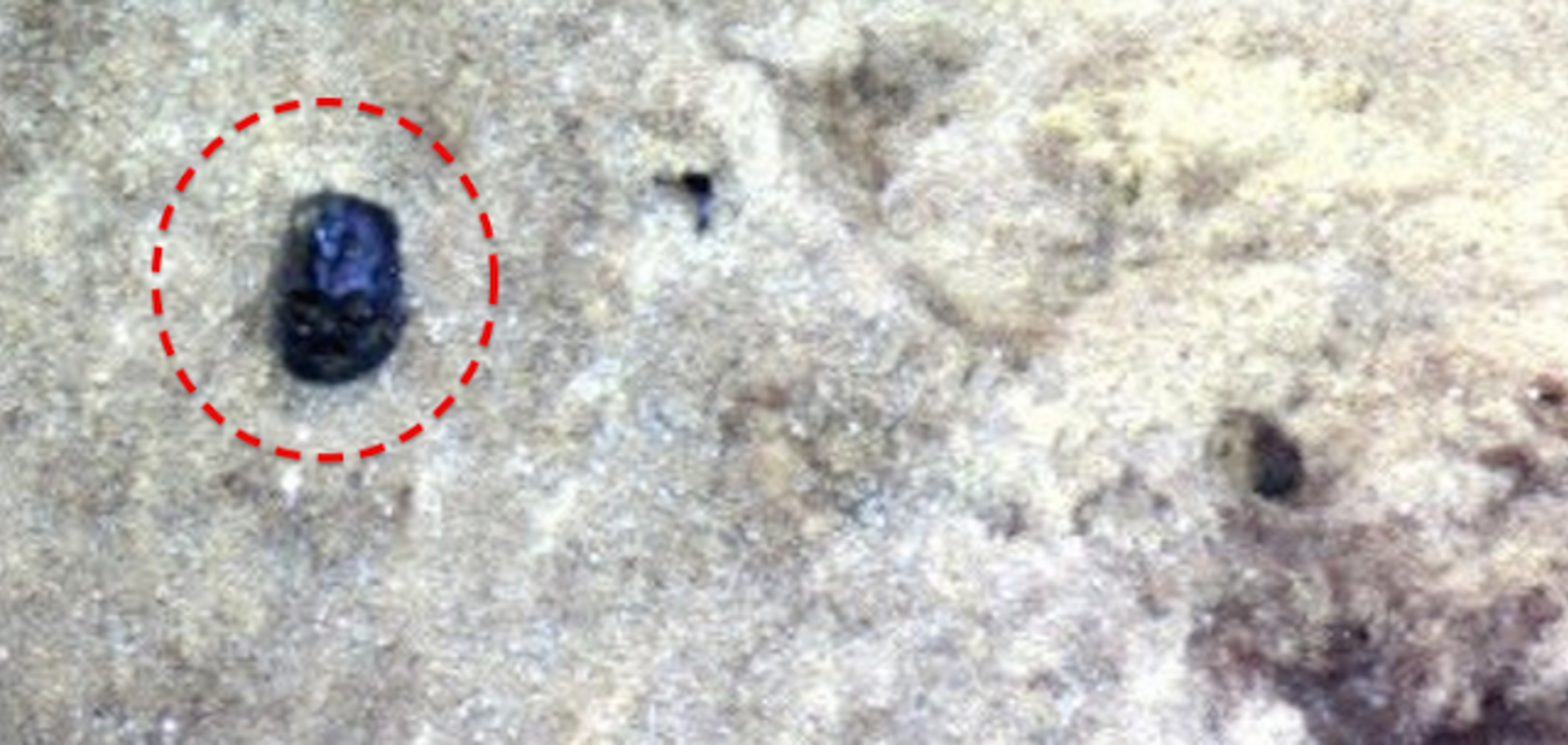 'Це не скульптура': вчений угледів на Марсі голову Дарта Вейдера