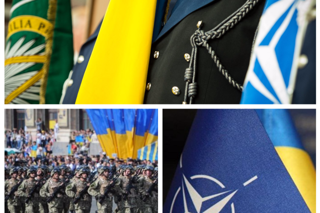 Когда Украина может вступить в НАТО: появился позитивный прогноз
