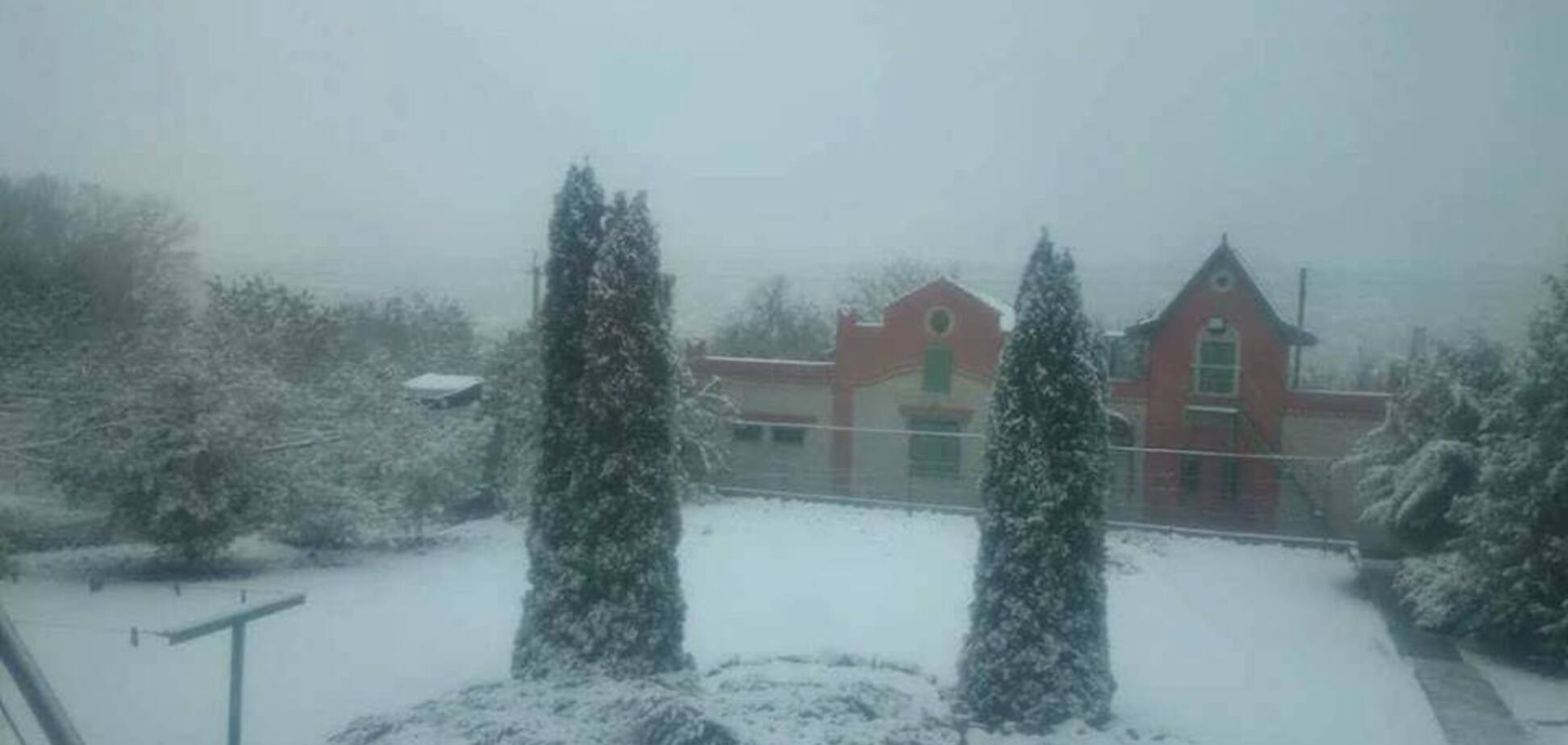 Зима близко: Харьков засыпало первым снегом