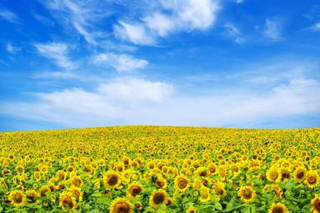 Утопія. Ідеальна держава для українців