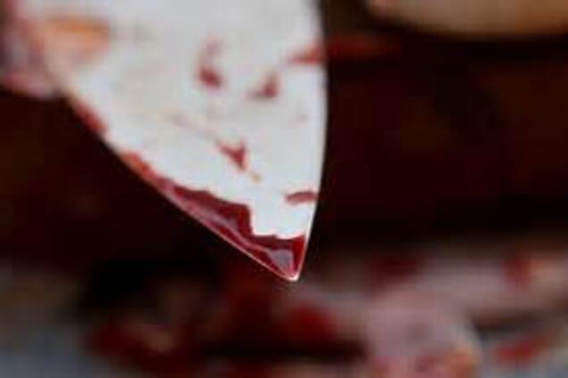 В Запорожской области женщина набросилась с ножом на сожителя