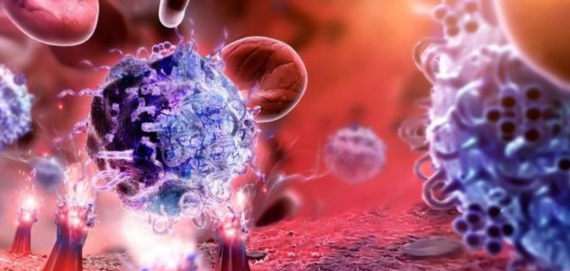 Ученые узнали необычное свойство иммунной системы, которое ускоряет ее работу
