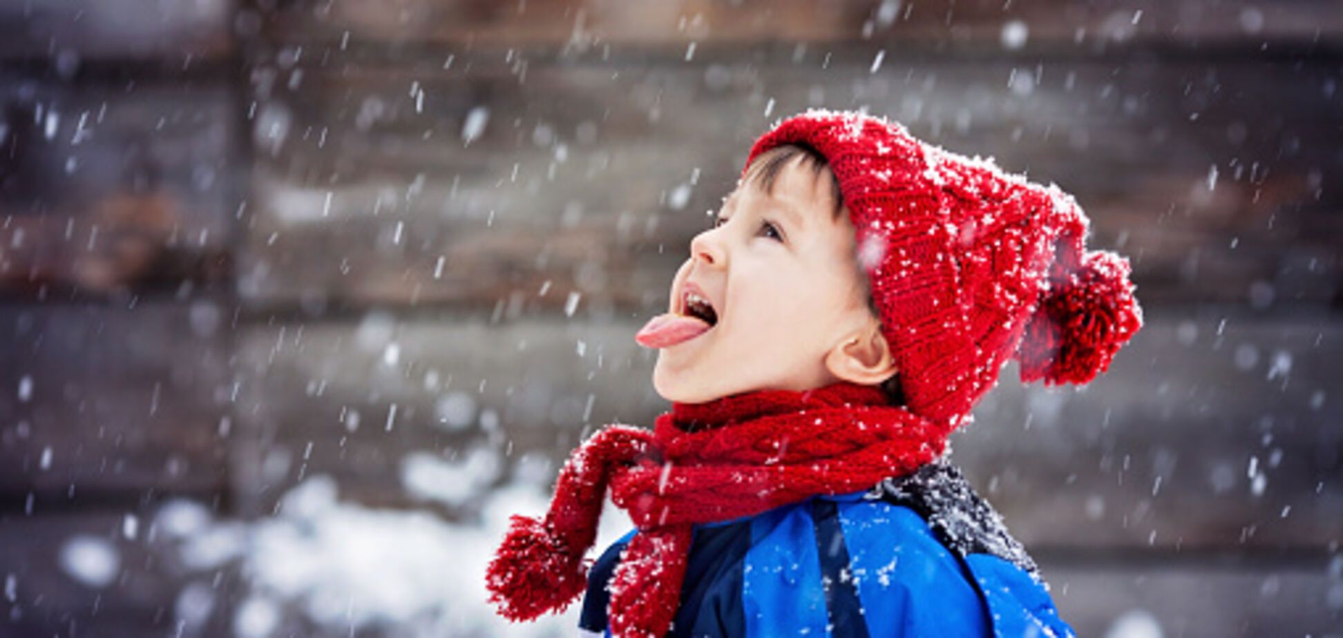 Синоптики рассказали, когда в Украине выпадет первый снег 