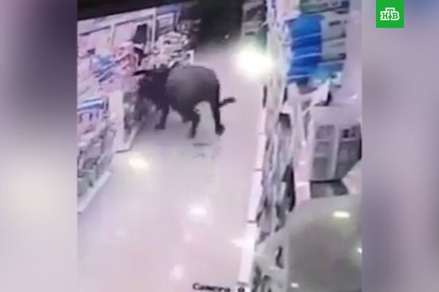 В Китае разъяренный буйвол устроил погром в супермаркете: появилось видео