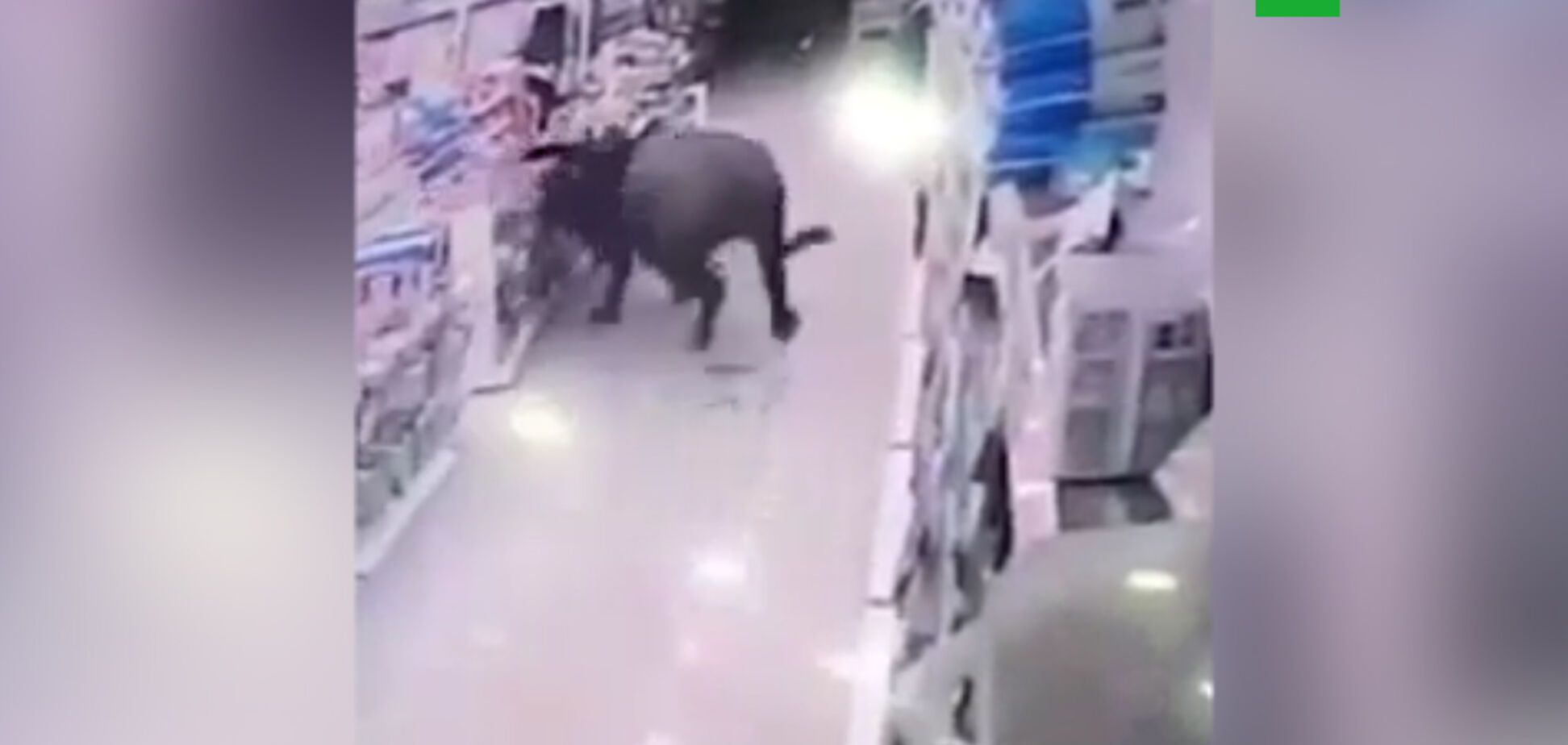 У Китаї розлючений буйвол влаштував погром у супермаркеті: з'явилося відео