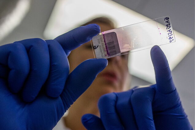 Путин: кто-то собирает биологический материал по всей России