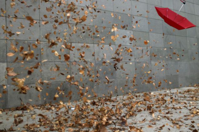 На Украину обрушится буря: спасатели предупредили об опасности