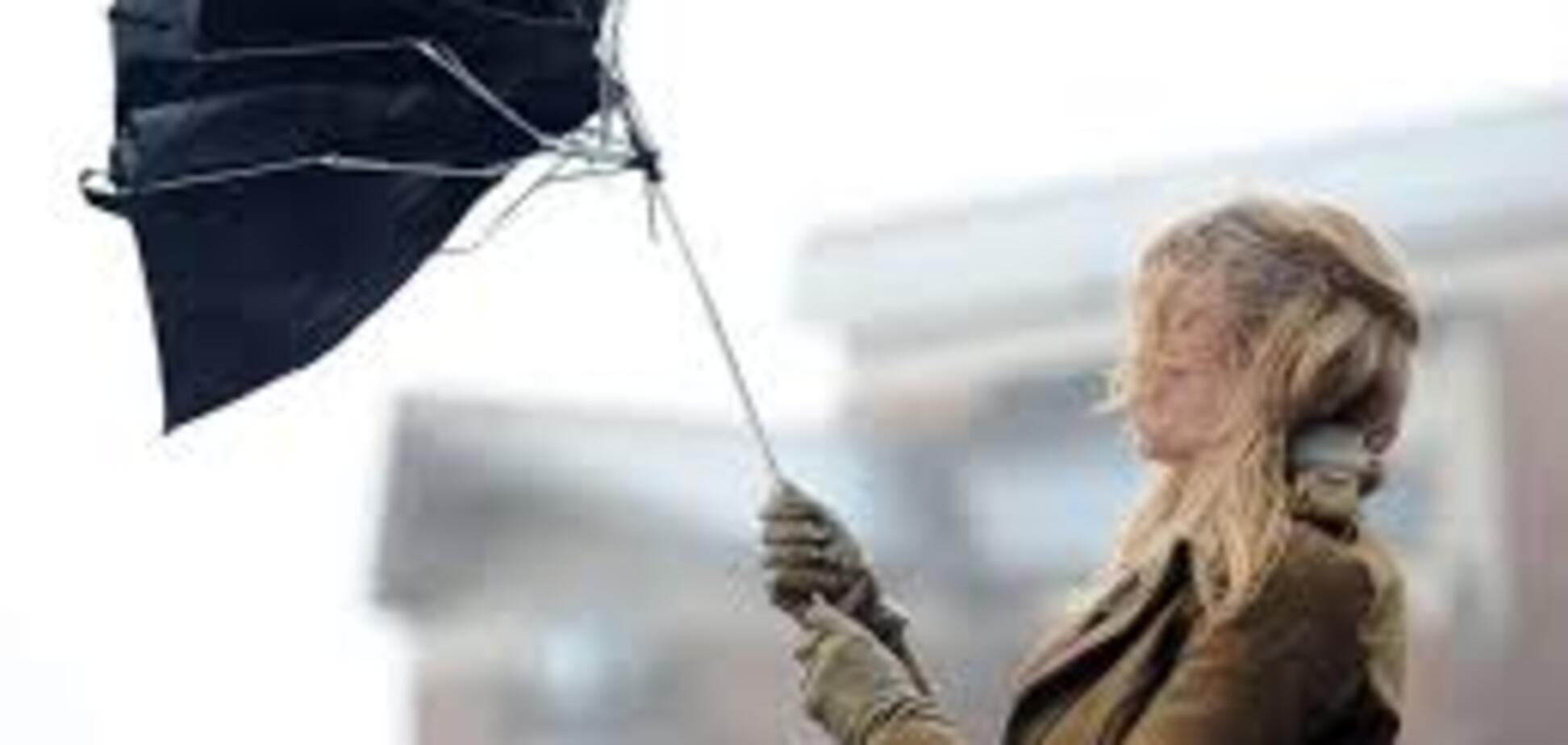 В Запорожском регионе ветер разбушевался не на шутку (ФОТО)