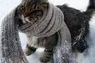 Зима пришла? Появился новый прогноз погоды по Киеву