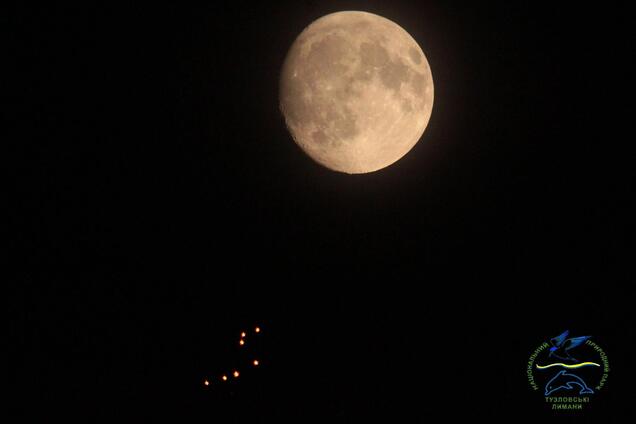 Люди встревожены: в небе над Одесщиной заметили загадочные огненные шары