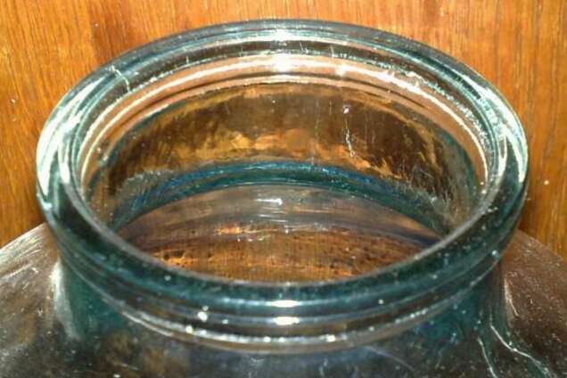 Забрался в подвал: в Киеве поймали краснокнижного 'джина' 