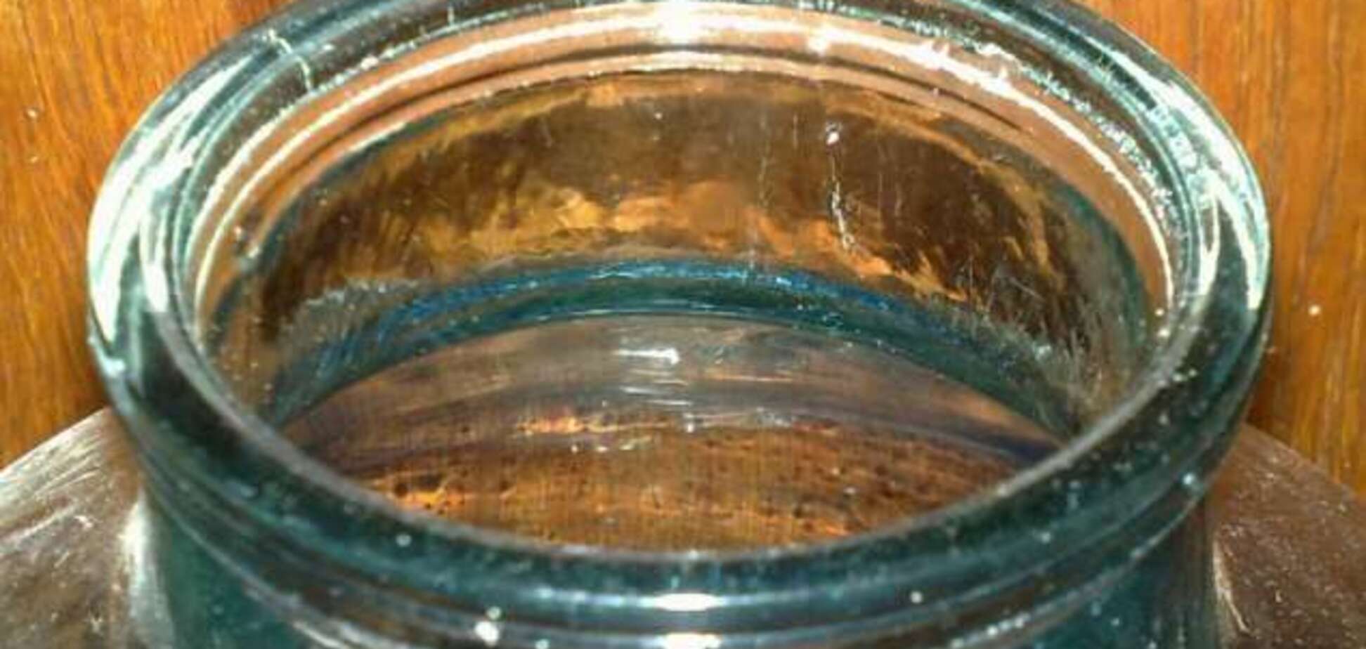 Забрался в подвал: в Киеве поймали краснокнижного 'джина'