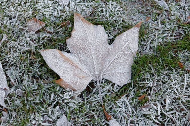 В Украине ударят первые морозы: синоптики уточнили прогноз погоды