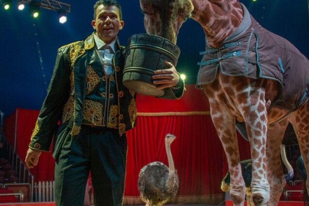 Официальное заявление Николая Кобзова и цирка 'Кобзов'