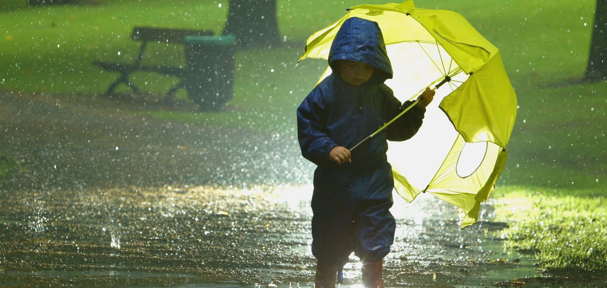 Ливни и похолодание: в Украине ухудшится погода