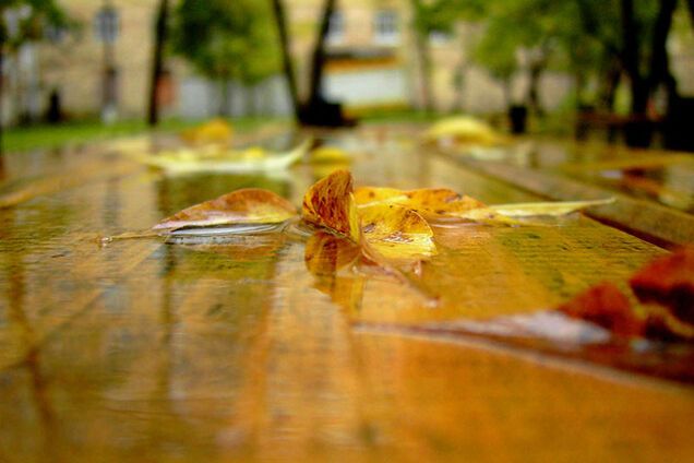 осень дождь