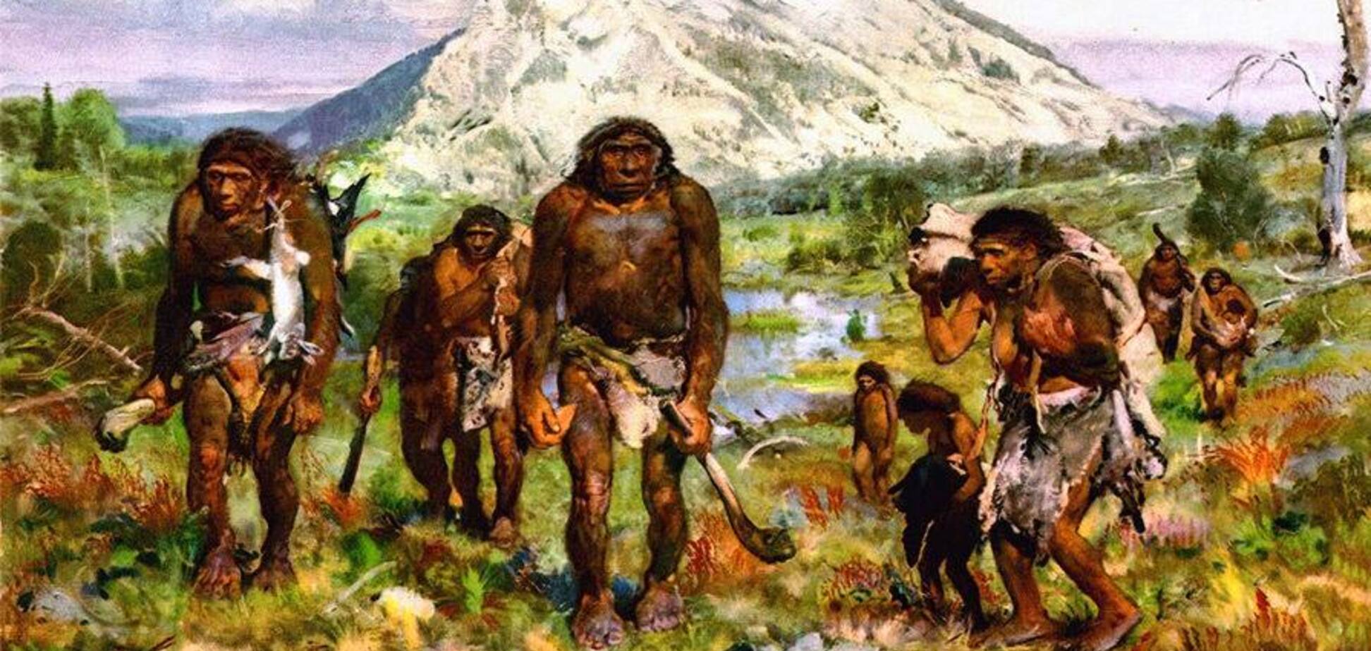 Стайность поведения