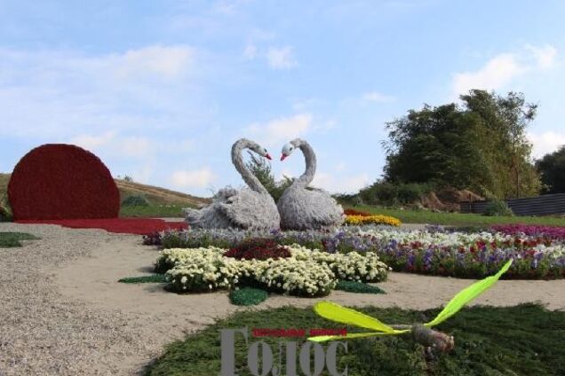 Запорожцы после ярмарки оставили более 30 тонн мусора