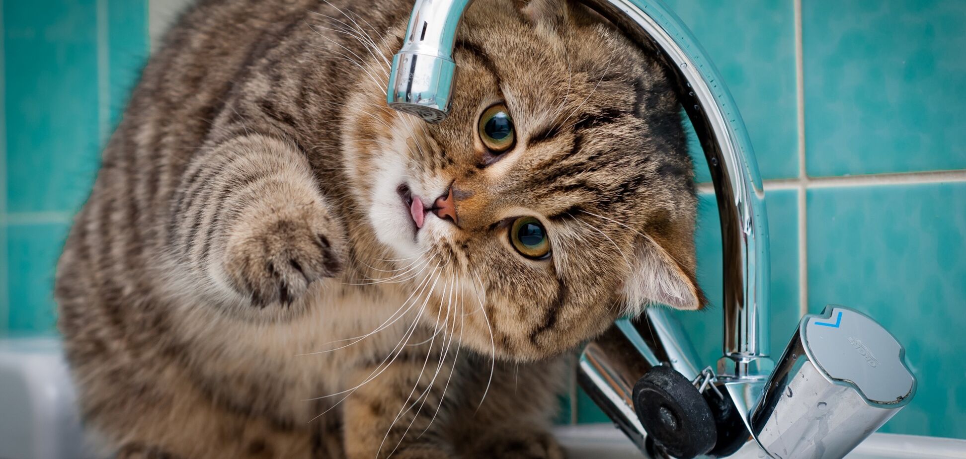 Придется ждать отопления: стало известно, когда в Киеве дадут горячую воду