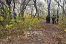 В парке повесился мужчина