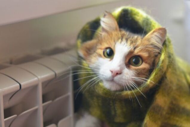 Отопление в Киеве