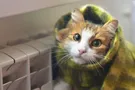 Отопление в Киеве