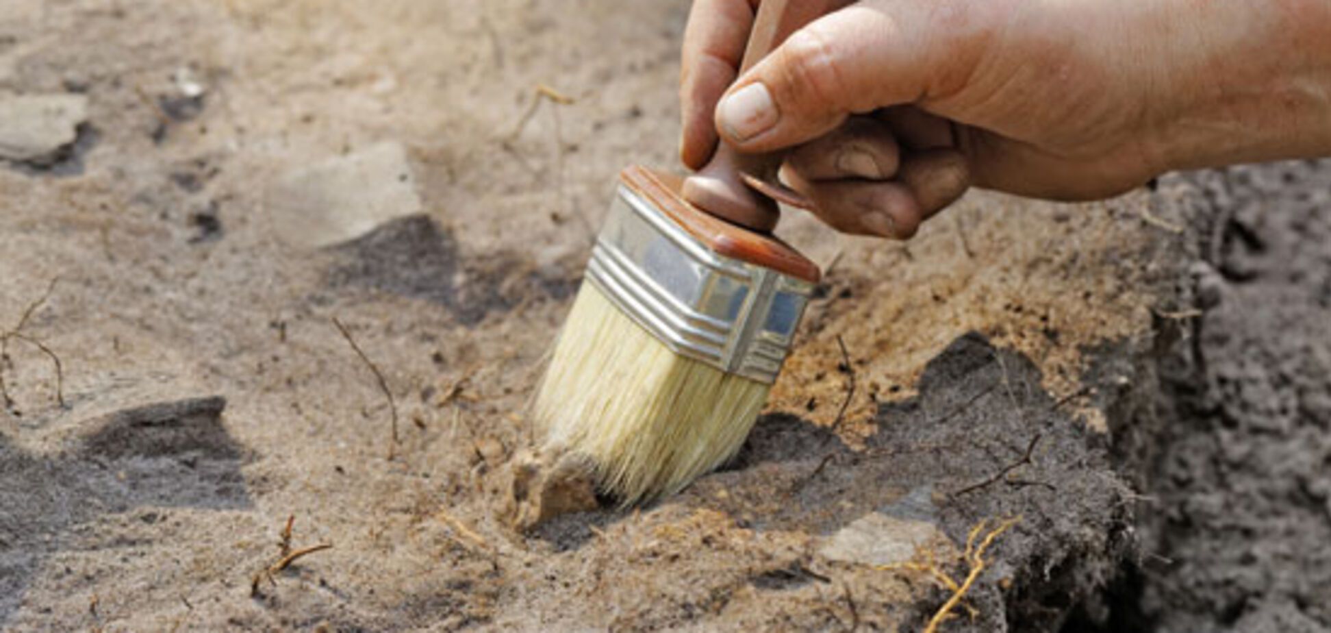 РосСМИ сообщили о ценной археологической находке в Крыму