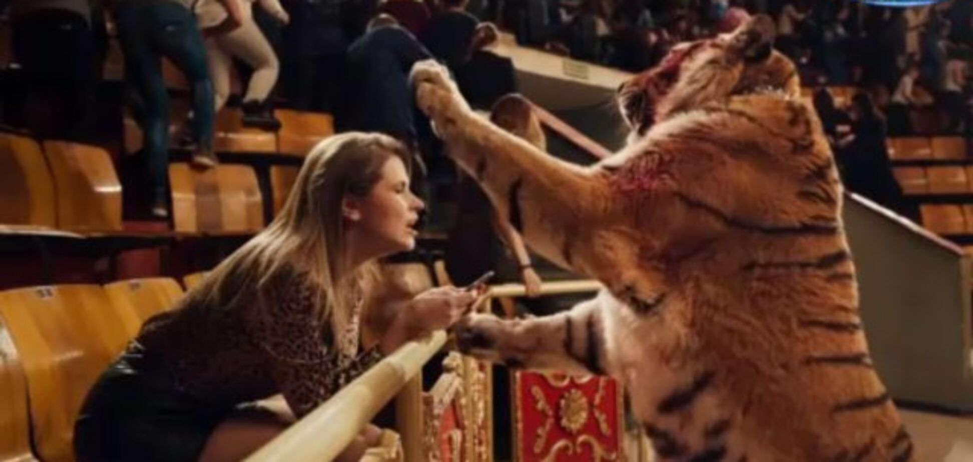 Ленинград Кольщик