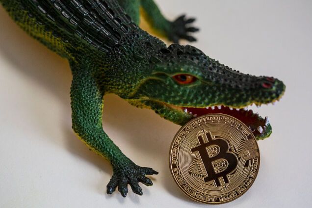 Появился конкурент: курс биткоина рекордно рухнул