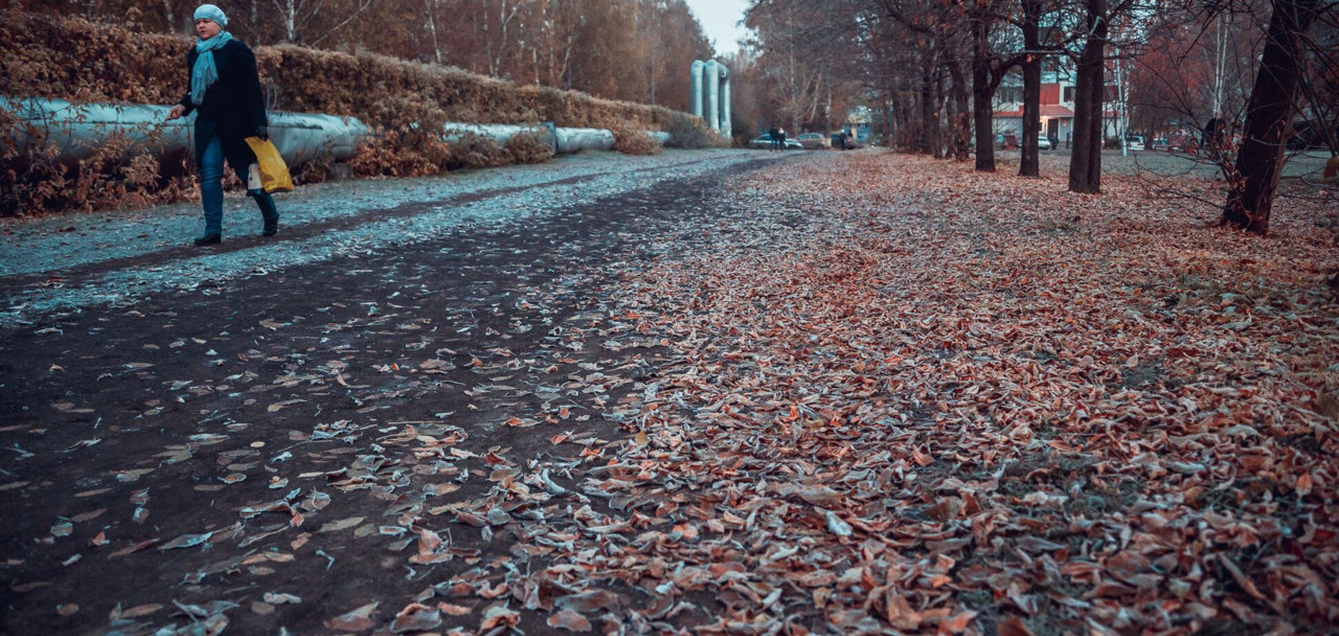 Прогноз погоды