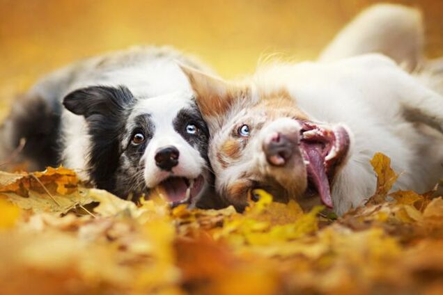 Погода, Киев, Наталья Диденко