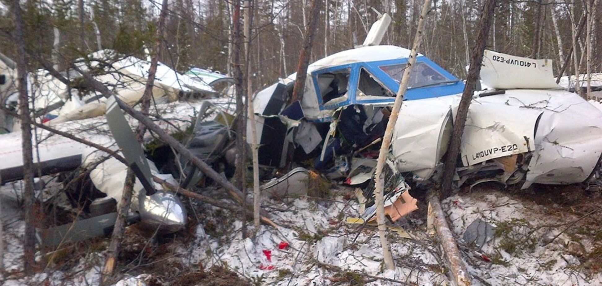 Унікальний випадок: стало відомо, як дівчинці вдалося вижити в авіакатастрофі в РФ