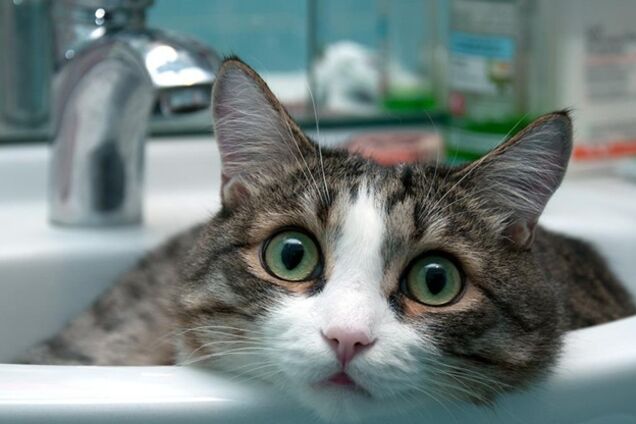 Вода, Киев, водоснабжение