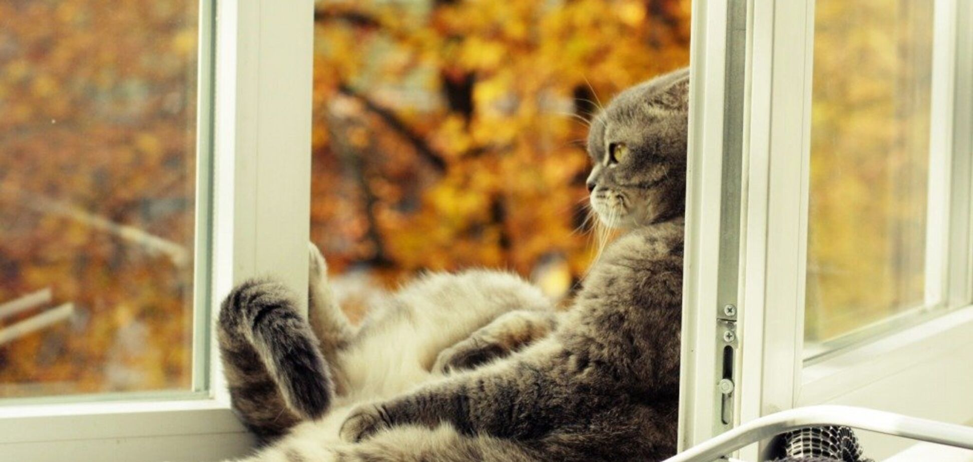 Киев, погода, осень в Киеве