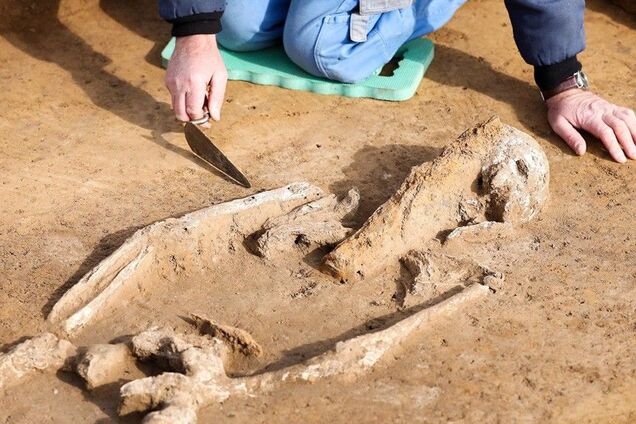 Захоронение ведьмы в Германии