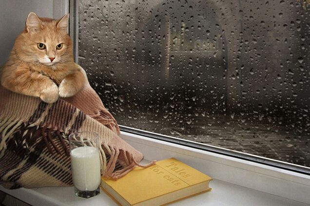 Киев, погода, прогноз