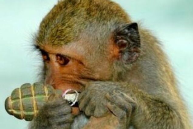 Новости 'ЛНР': граната как подарок