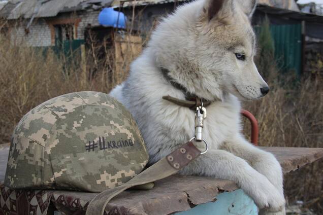 Почему бойцы АТО не идут в наступление на Донбассе: озвучены печальные факты