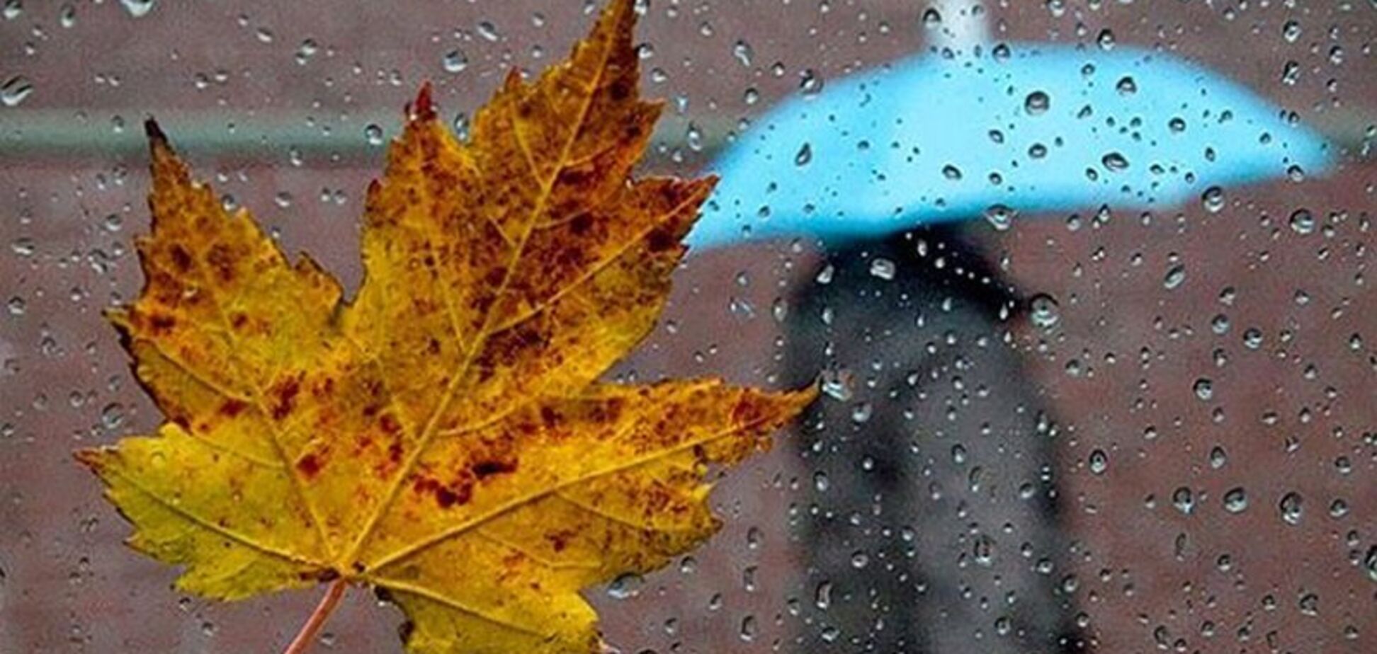 Будьте осторожны! Появился прогноз погоды в Украине на последние выходные осени