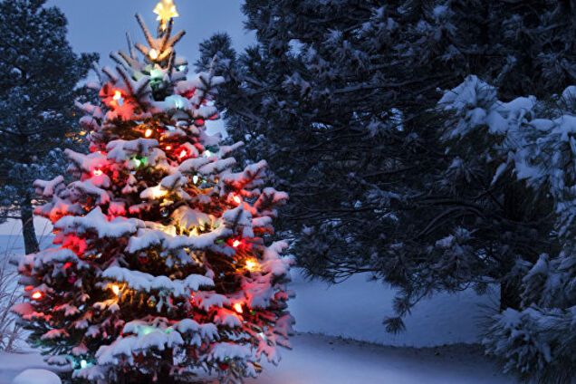 Стало традицией: в России показали очередной 'шедевр' из навоза