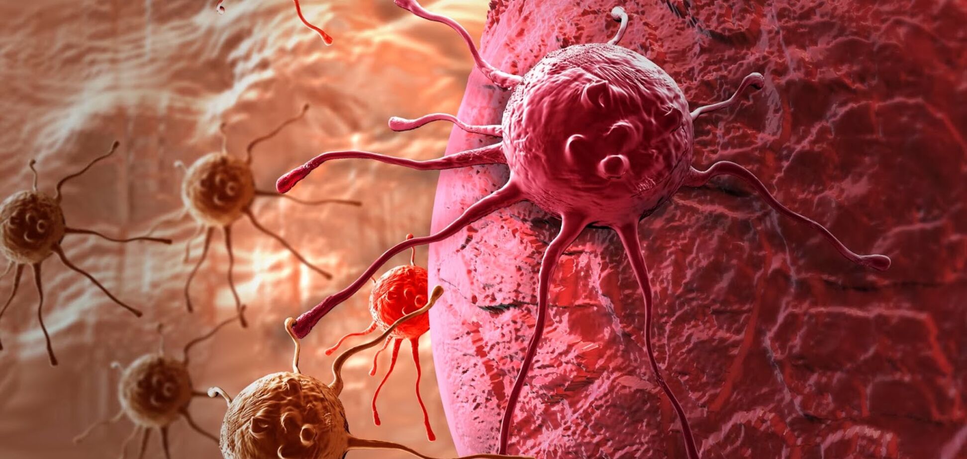 Как уберечься от рака: ученые назвали главные способы 