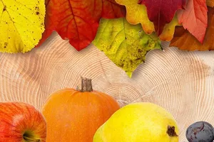 ТОП-5 самых полезных продуктов ноября