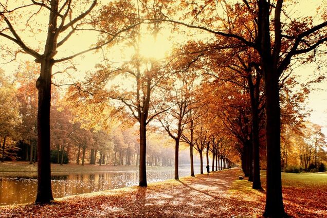 Ноябрь погода в Украине