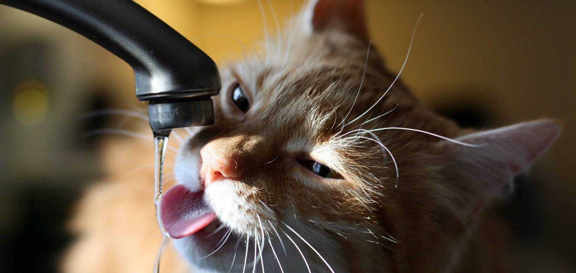 Вода в Киеве