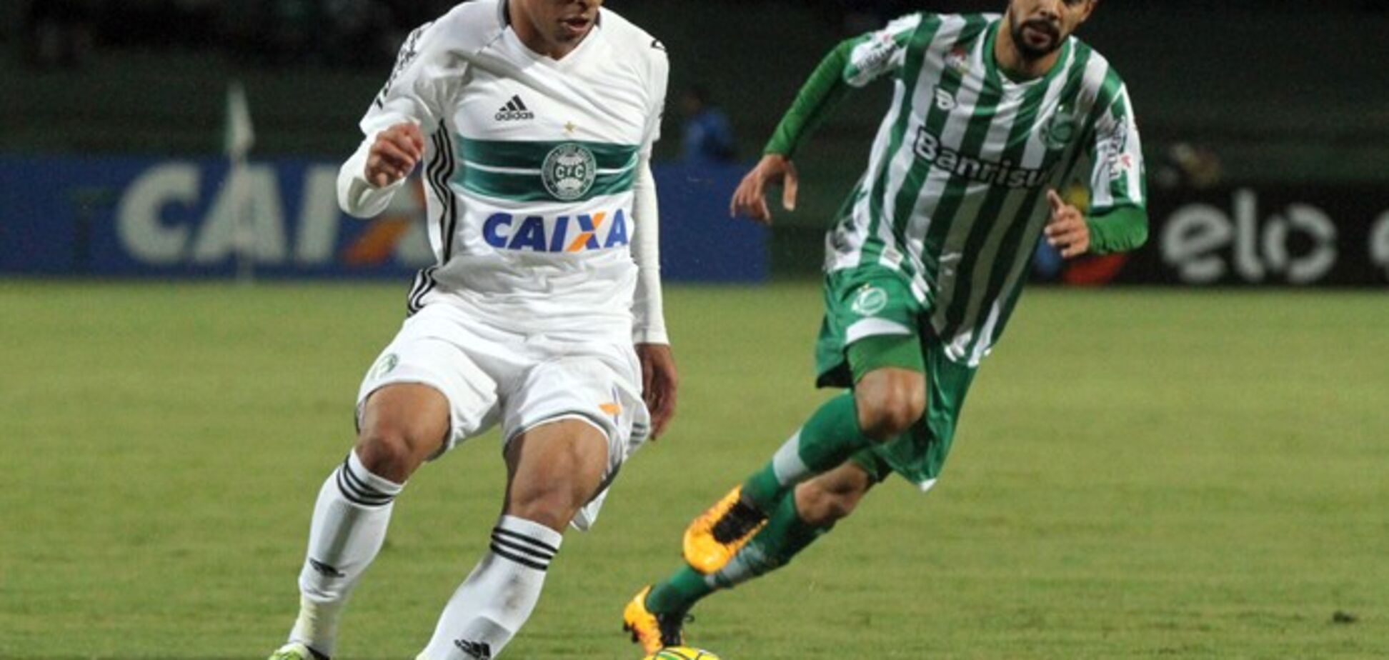 Додо Куритиба