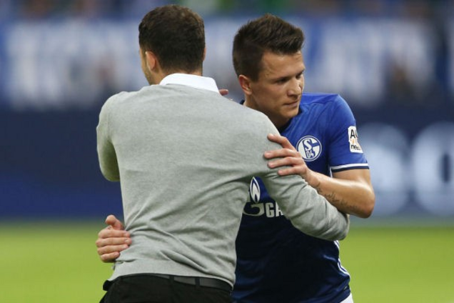 Коноплянка Шальке