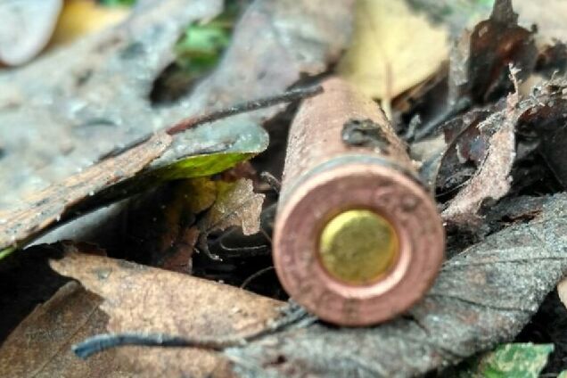 убийство Амины Окуевой