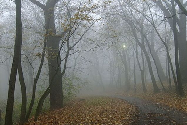Облачно и туманно: стал известен прогноз погоды на среду